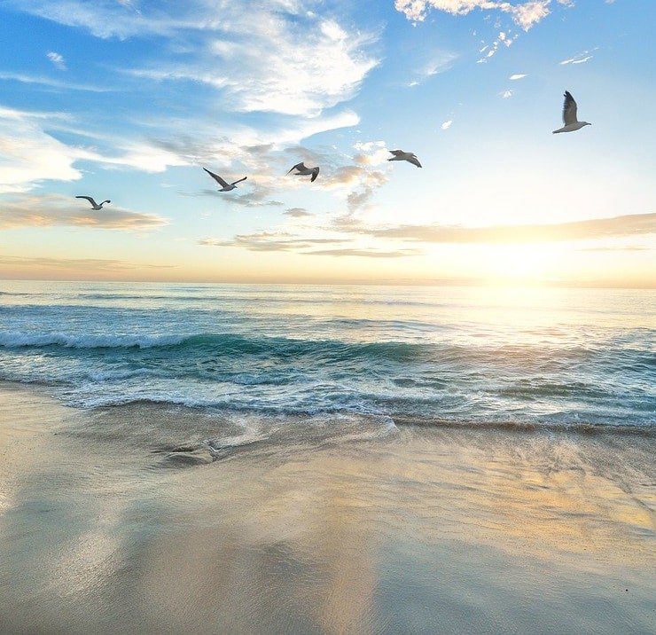 Beach at sunrise with gentle waves, with seagulls flying over the ocean.