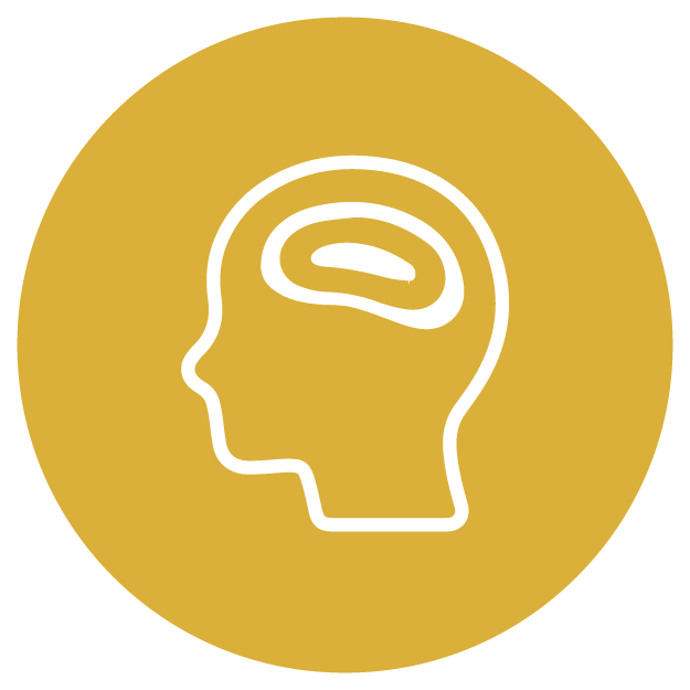 psychosis brain icon